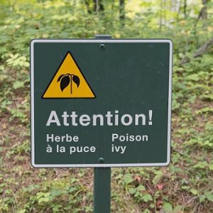 Poison Ivy Warning sign in a forest