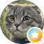 Kay Avatar